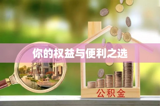 桃源你的权益与便利之选