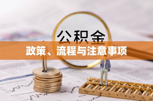 桃源政策、流程与注意事项