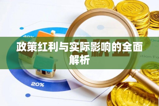 桃源政策红利与实际影响的全面解析