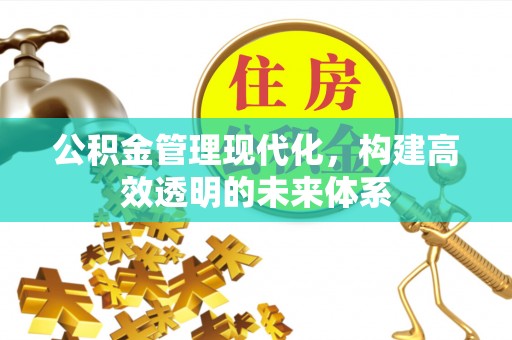 桃源公积金管理现代化，构建高效透明的未来体系