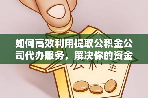 桃源如何高效利用提取公积金公司代办服务，解决你的资金难题