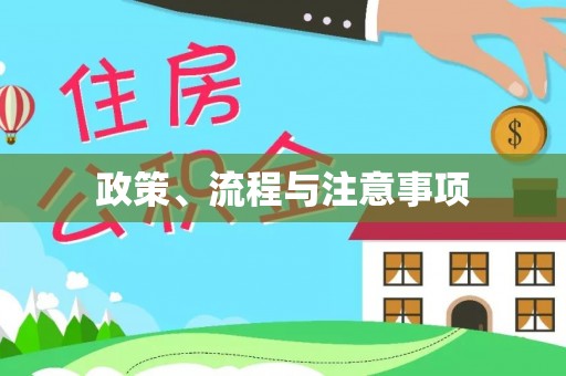 桃源政策、流程与注意事项