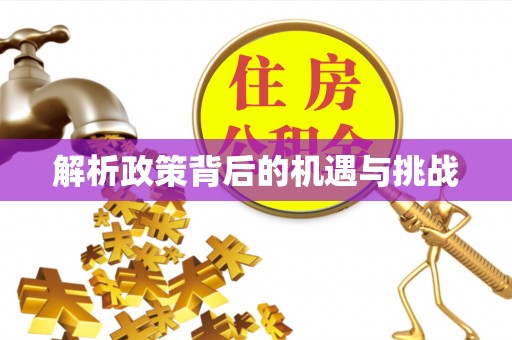 桃源解析政策背后的机遇与挑战