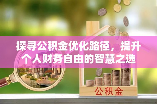 桃源探寻公积金优化路径，提升个人财务自由的智慧之选