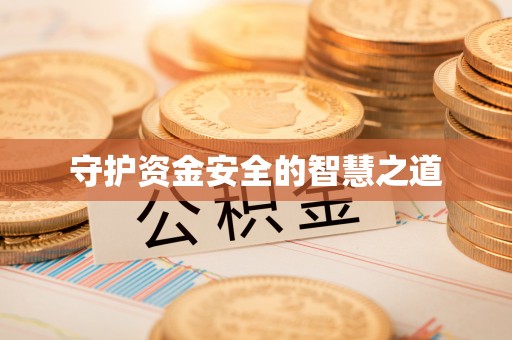桃源守护资金安全的智慧之道