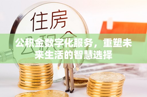 桃源公积金数字化服务，重塑未来生活的智慧选择