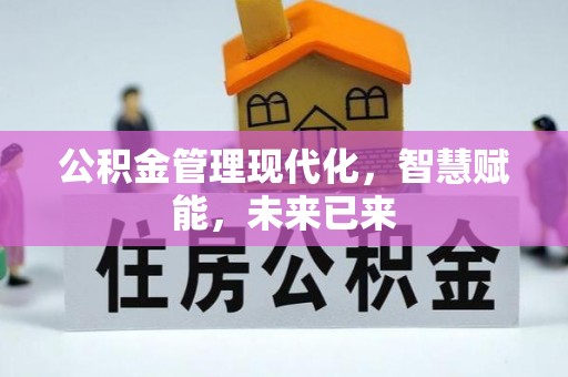 桃源公积金管理现代化，智慧赋能，未来已来