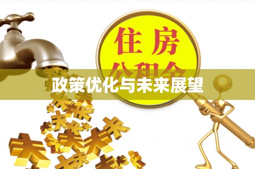桃源政策优化与未来展望
