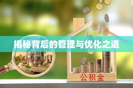 桃源揭秘背后的管理与优化之道