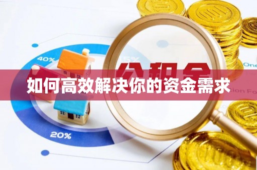 桃源如何高效解决你的资金需求