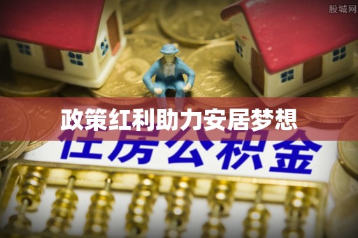 桃源政策红利助力安居梦想