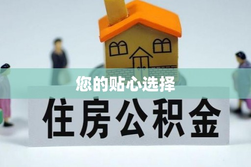 桃源您的贴心选择