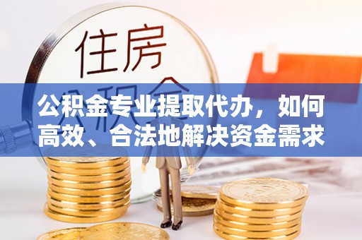 桃源公积金专业提取代办，如何高效、合法地解决资金需求？