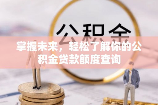 桃源掌握未来，轻松了解你的公积金贷款额度查询