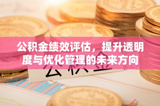 桃源公积金绩效评估，提升透明度与优化管理的未来方向