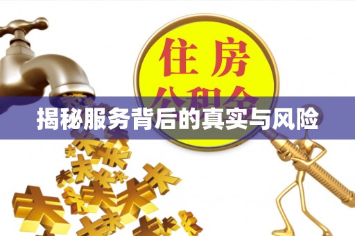 桃源揭秘服务背后的真实与风险