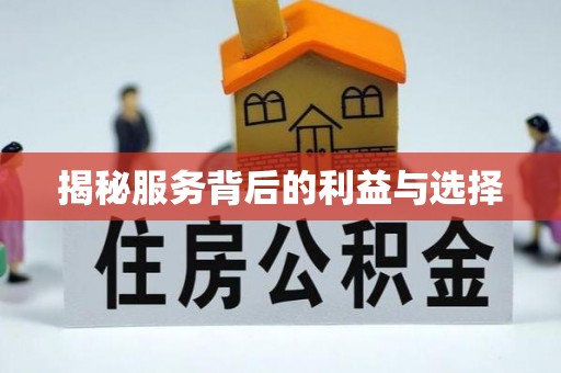桃源揭秘服务背后的利益与选择