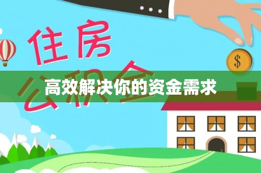 桃源高效解决你的资金需求