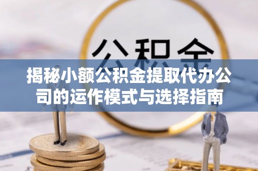 桃源揭秘小额公积金提取代办公司的运作模式与选择指南