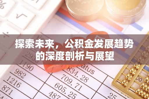 桃源探索未来，公积金发展趋势的深度剖析与展望