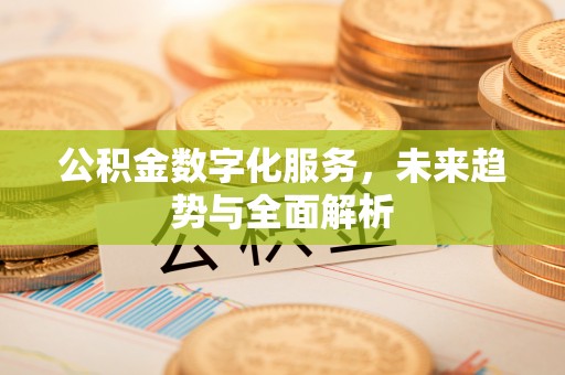 桃源公积金数字化服务，未来趋势与全面解析