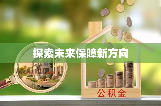 桃源探索未来保障新方向
