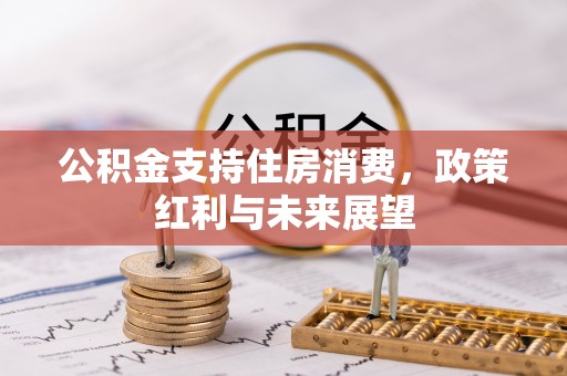 桃源公积金支持住房消费，政策红利与未来展望