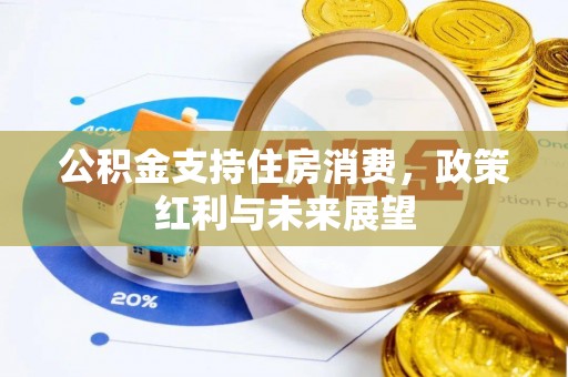 桃源公积金支持住房消费，政策红利与未来展望