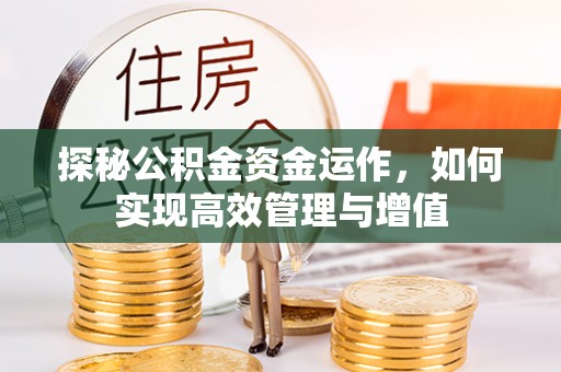 桃源探秘公积金资金运作，如何实现高效管理与增值