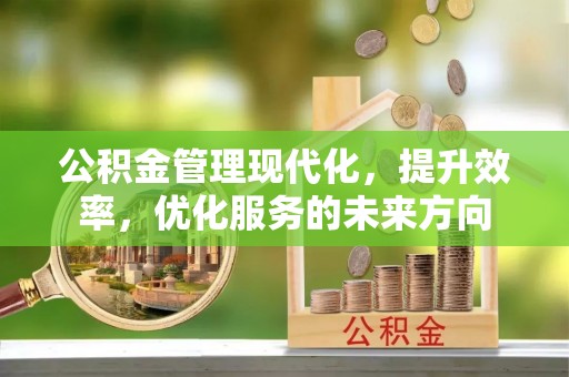 桃源公积金管理现代化，提升效率，优化服务的未来方向