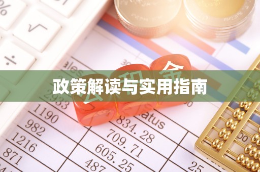 桃源政策解读与实用指南
