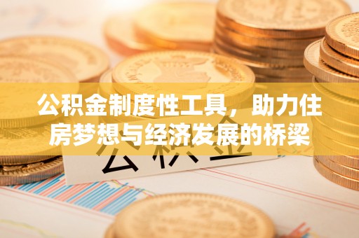 桃源公积金制度性工具，助力住房梦想与经济发展的桥梁