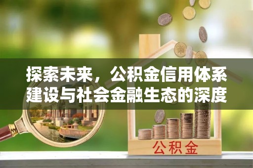 桃源探索未来，公积金信用体系建设与社会金融生态的深度融合