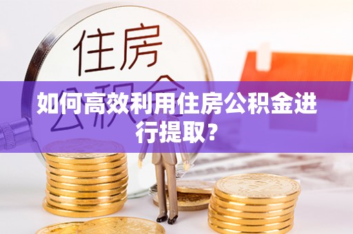 桃源如何高效利用住房公积金进行提取？