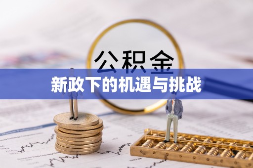 桃源新政下的机遇与挑战