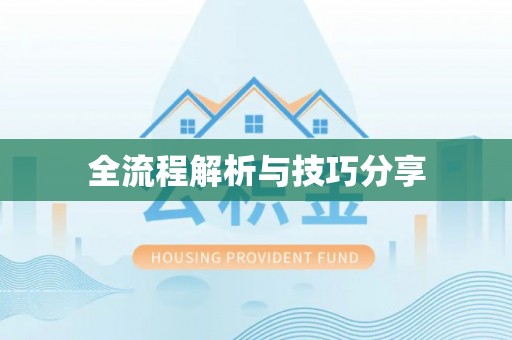 桃源全流程解析与技巧分享