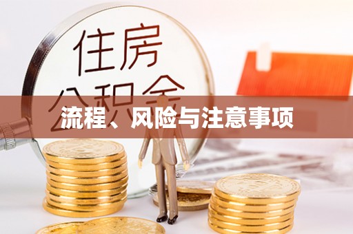 桃源流程、风险与注意事项