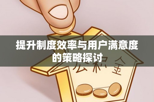 桃源提升制度效率与用户满意度的策略探讨